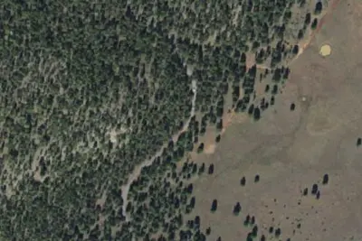 Dogtown Lake Campground