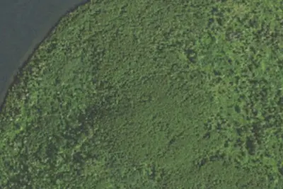 Rose Lake #9