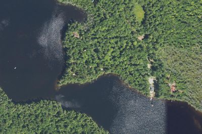 North Gemini Lake State Forest Campground