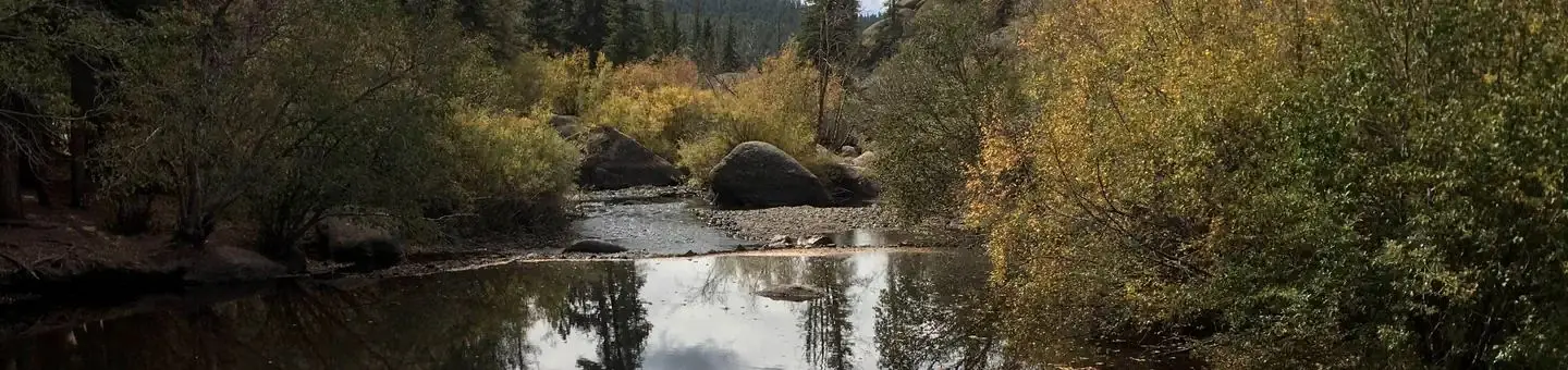 Spruce Grove Campground