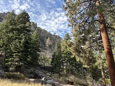 A photo of facility Crystal Springs with No Amenities Shown