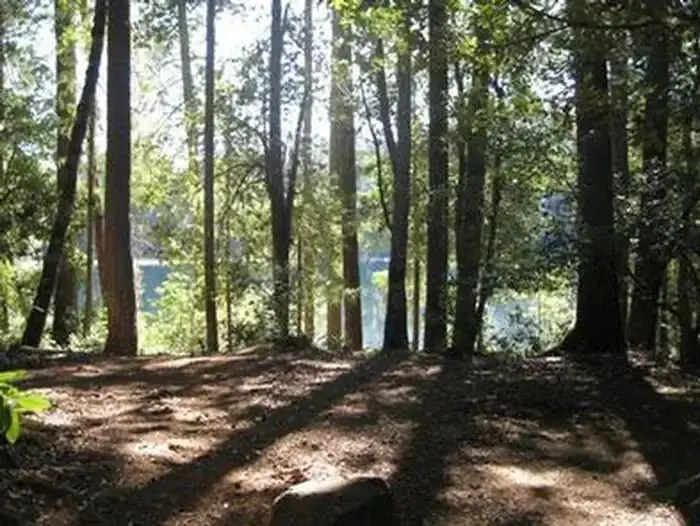 Fish Lake Campground