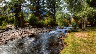 Listening While the River Runs - Big Thompson River (51449021126)