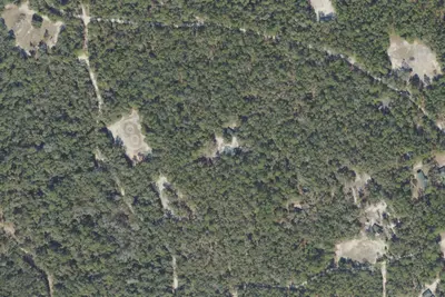 Campsite 8