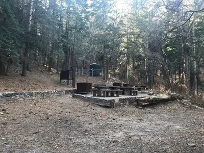 Upper Arcadia Group Site