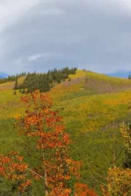 Kenosha Pass (10047826336)