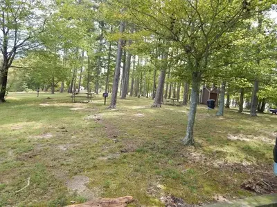 Picnic sites at Ivy Hill Park