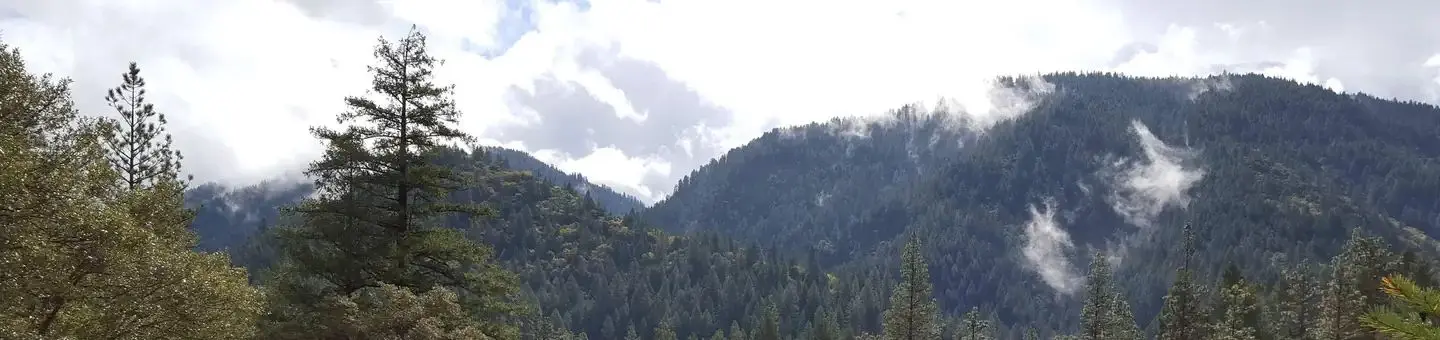 North Fork Yuba River Canyon
