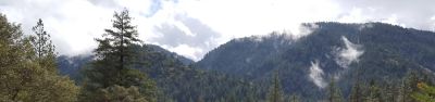 Loganville Campground