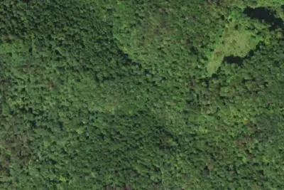 Camp site