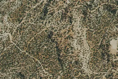 Camp site