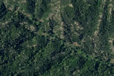 Camp site