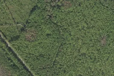 Camp site