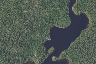 Camp site (USFS)