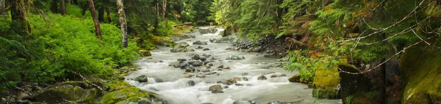 Ohanapecosh River, Mt Rainier National Park
