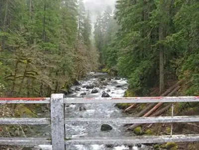 Ohanapecosh Group Campground