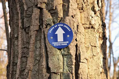 Cheesequake Blue Trail indicator