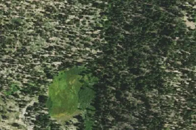 Burnt Camp