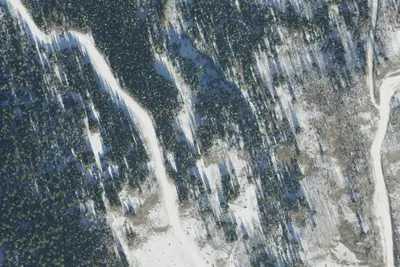 Camp site