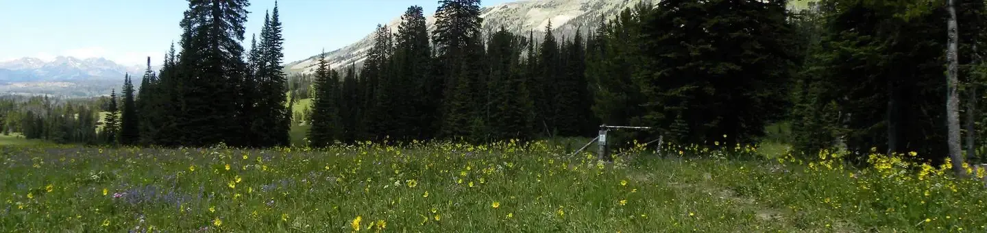 View From Cabin Creek Cabin