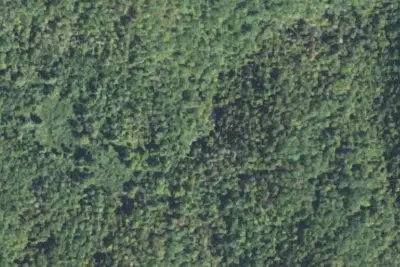 Camp site