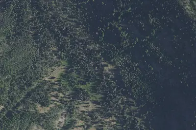 Camp site