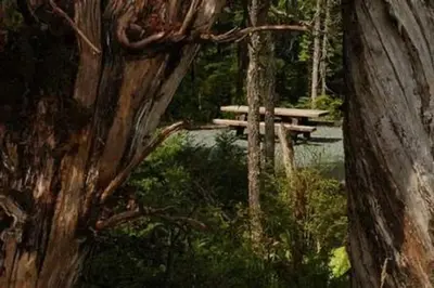 Harris River Campground