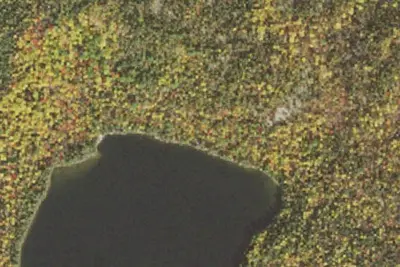 Camp site (Superior National Forest)