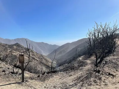 Burned catchment looking down canyon (20250120-FS-FR-001)