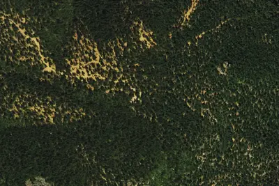 Camp site