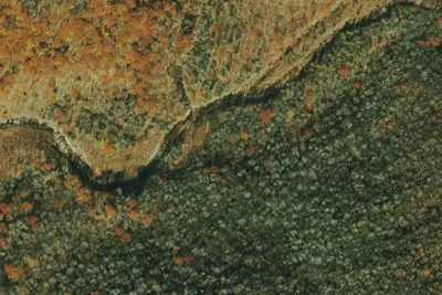 Camp site