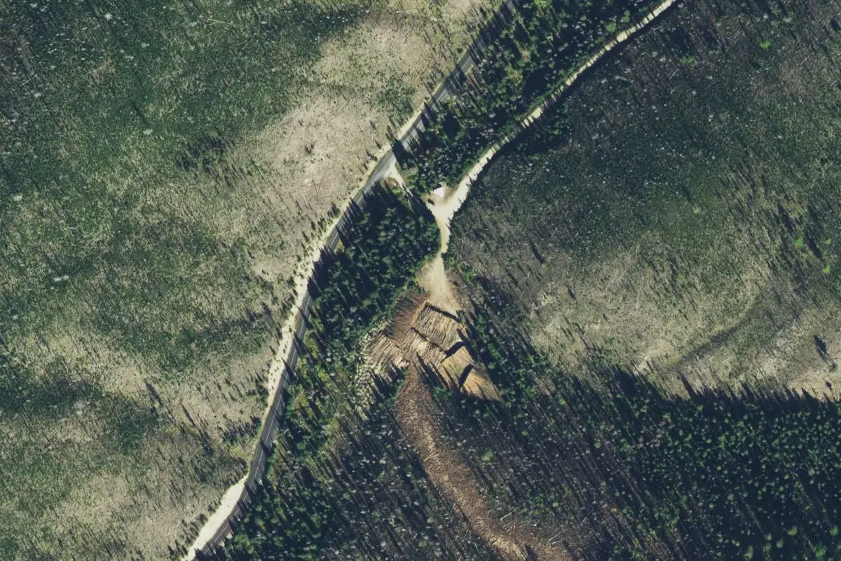 Aerial view
