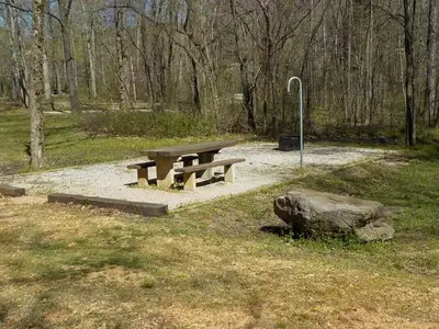 Site