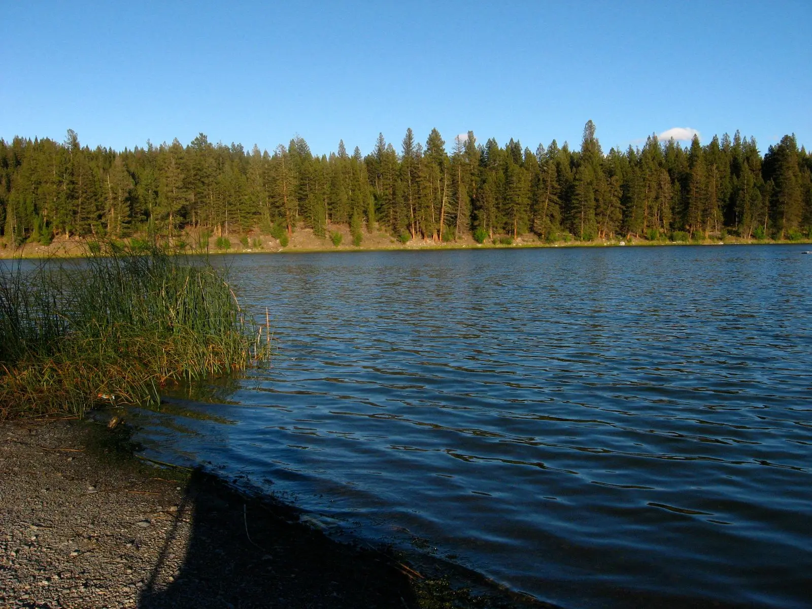 Photo of Roche Lake Park