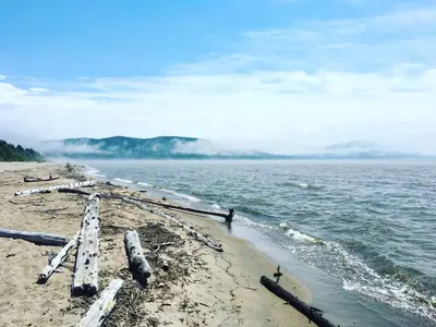 Fog at Neys Provincial Park