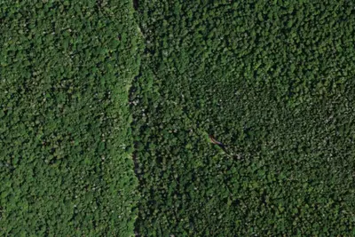 Camp site (NYSDEC)