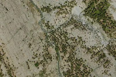 Camp site