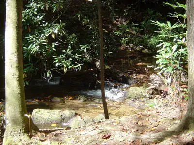 Rabun County, GA, USA - panoramio - srbullock