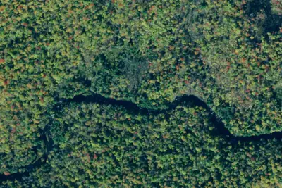 Camp site