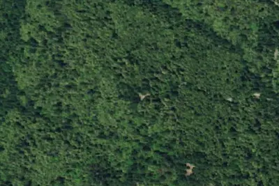 Camp site