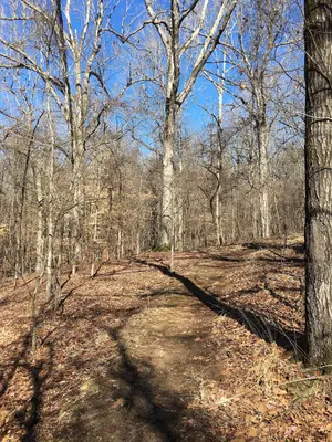 Beech Hollow Trail Enid Lake 2