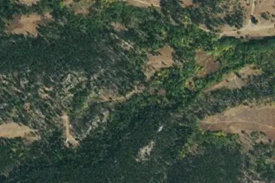 Camp site (Red Feather Lakes)