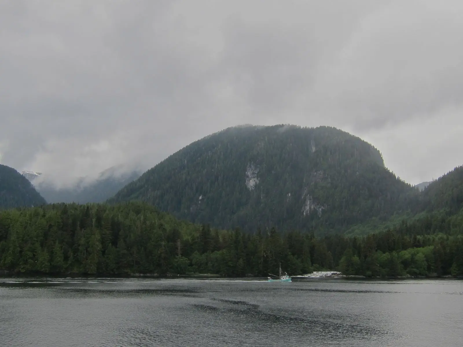 Photo of Kitasoo Spirit Bear Conservancy