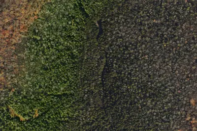 Camp site