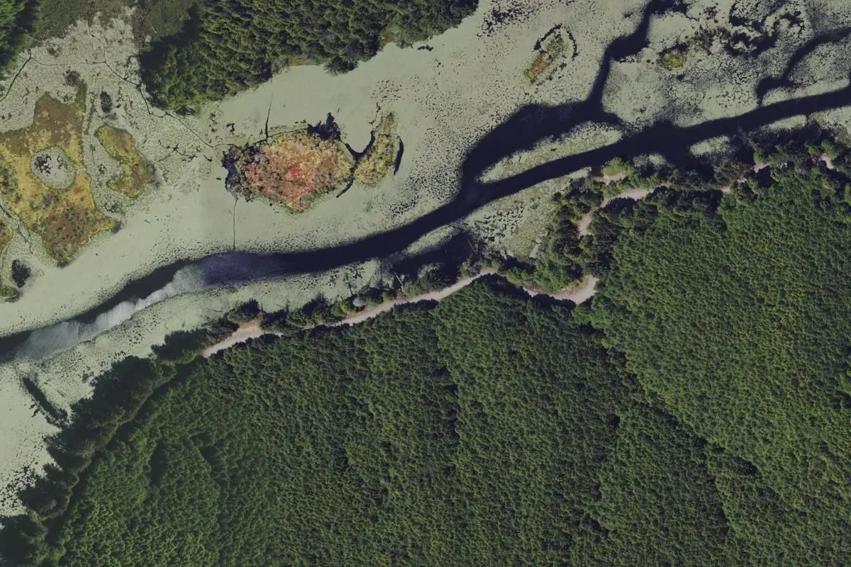 Aerial view