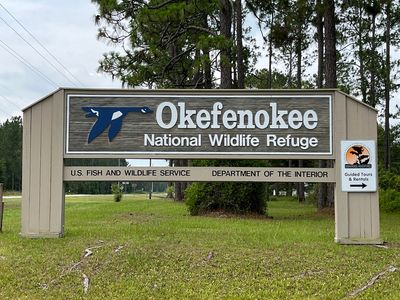 Georgia - Okefenokee Swamp - 20220624114419