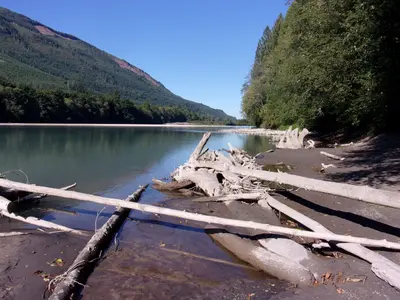 Skagit River at Razar State Park (36910660351)