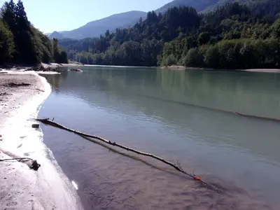 Skagit River at Razar State Park (37051818105)
