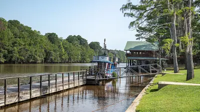 USA - Texas - Karnack - Big Cypress Bayou - 51369036859