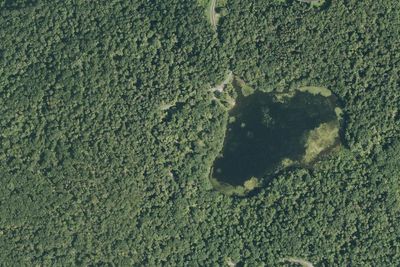Site 4